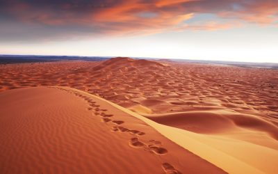 Excursión de 3 días y 2 noches a las Kasbahs y el desierto del Sáhara