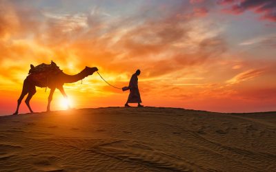 Fes Desert Tour to Marrakech 5 days/ 4 nights